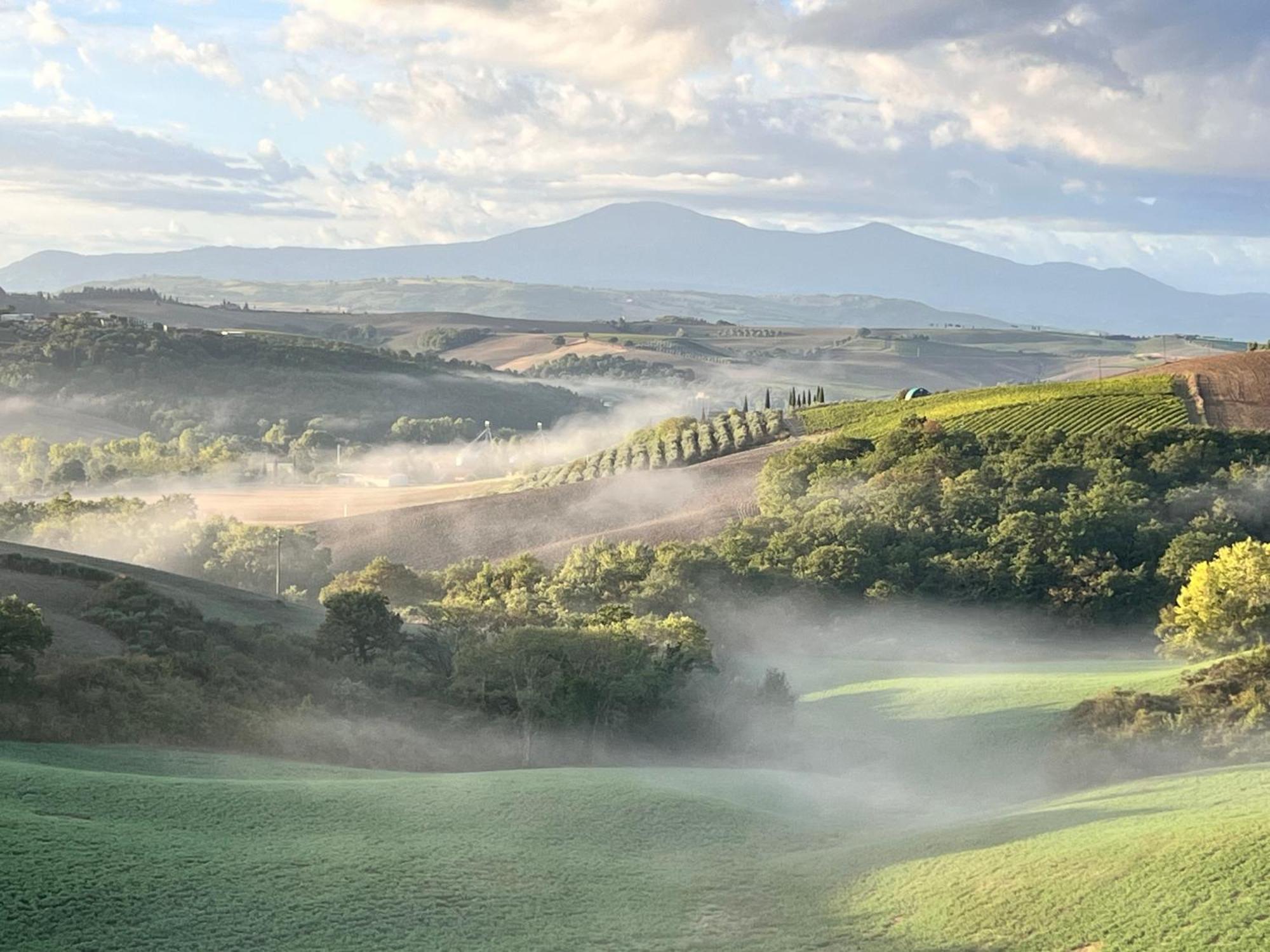 Agriturismo Monsole - Montalcino Exterior photo